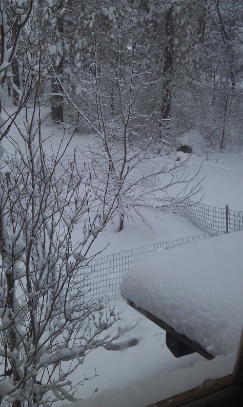 Spring was postponed for the big snow accumulation.