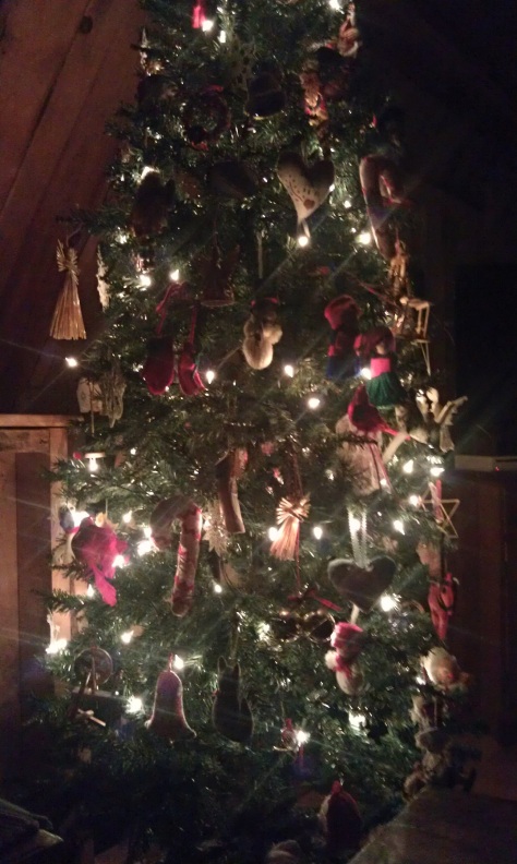Christmas Day evening, enjoying our tree.